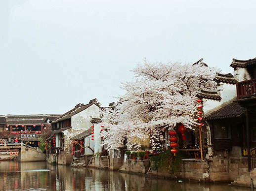 Xitang Water Town Tours